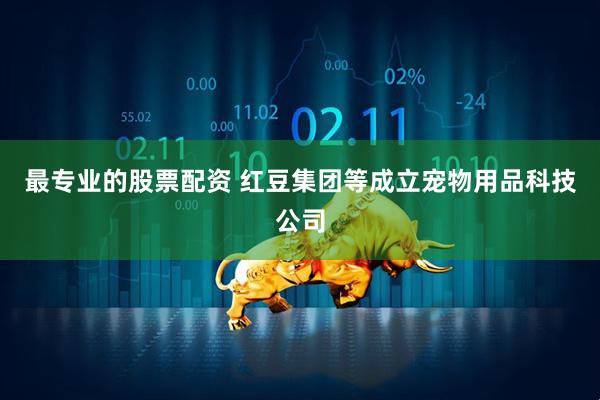 最专业的股票配资 红豆集团等成立宠物用品科技公司