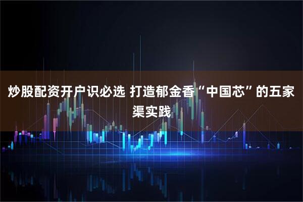 炒股配资开户识必选 打造郁金香“中国芯”的五家渠实践